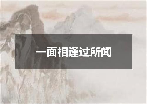 一面相逢过所闻