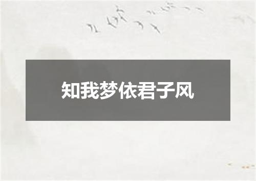 知我梦依君子风
