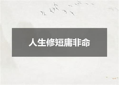 人生修短庸非命