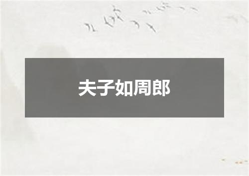夫子如周郎