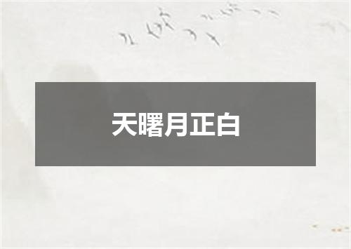 天曙月正白