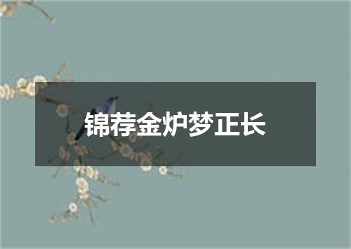 锦荐金炉梦正长