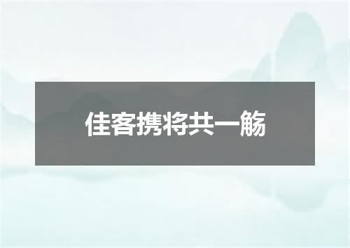 佳客携将共一觞