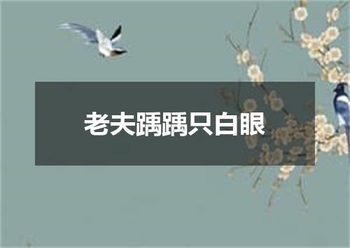 老夫踽踽只白眼