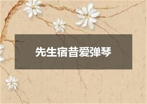 先生宿昔爱弹琴