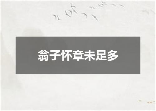 翁子怀章未足多