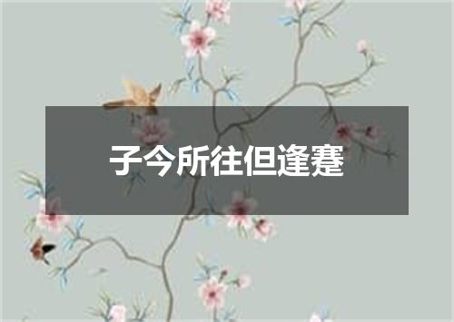 子今所往但逢蹇