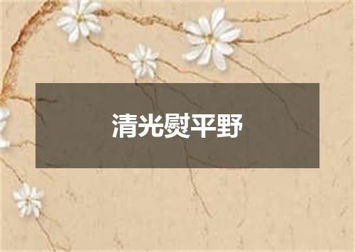 清光熨平野