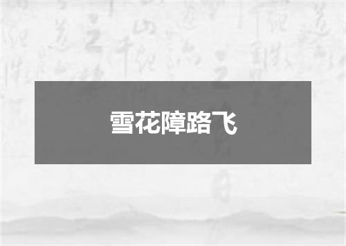 雪花障路飞