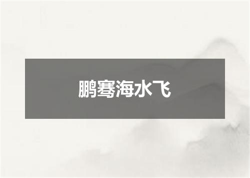 鹏骞海水飞
