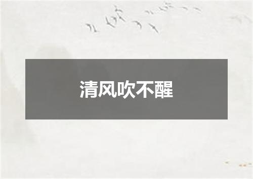 清风吹不醒