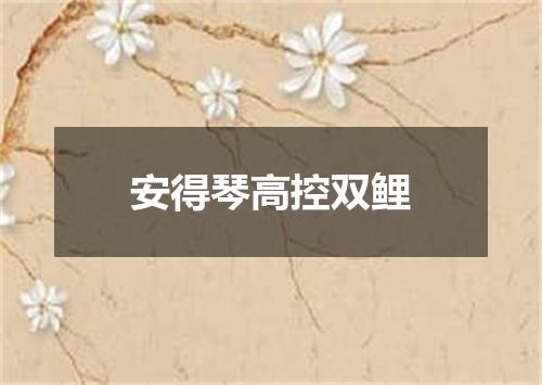 安得琴高控双鲤
