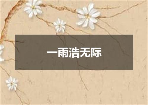 一雨浩无际