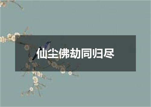 仙尘佛劫同归尽