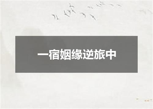 一宿姻缘逆旅中