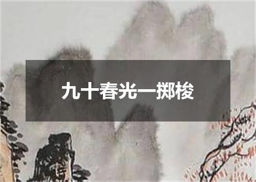 九十春光一掷梭