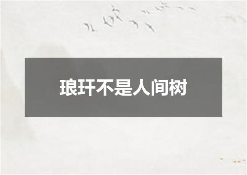 琅玕不是人间树