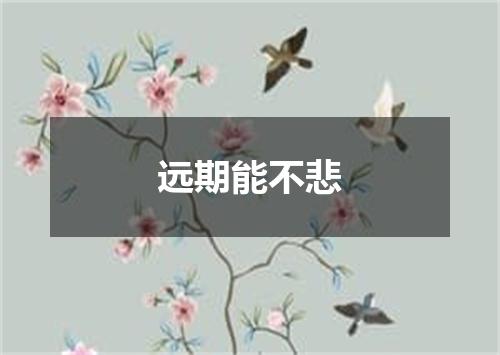 远期能不悲