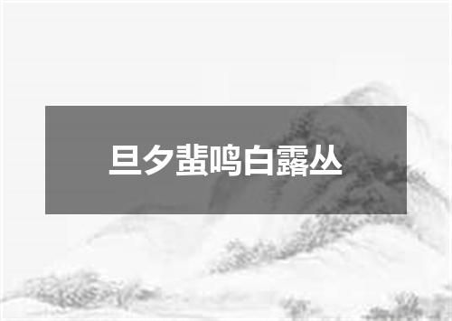 旦夕蜚鸣白露丛