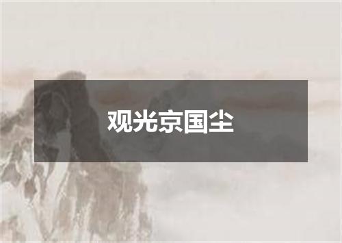 观光京国尘