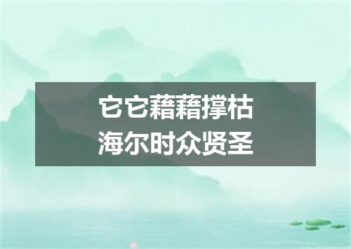 它它藉藉撑枯海尔时众贤圣