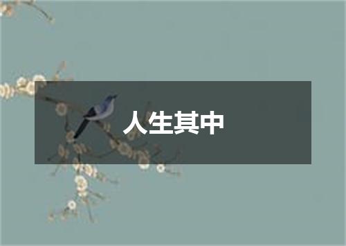 人生其中