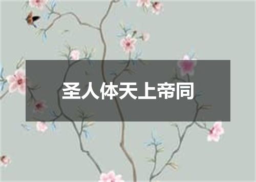 圣人体天上帝同