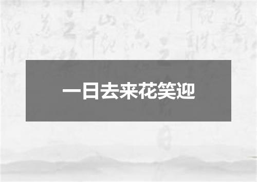 一日去来花笑迎