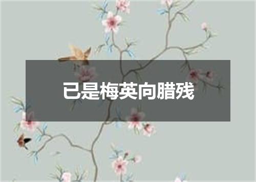 已是梅英向腊残