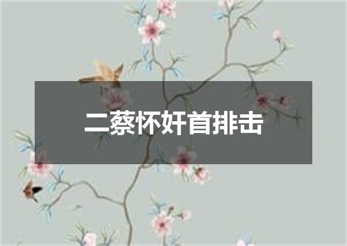 二蔡怀奸首排击