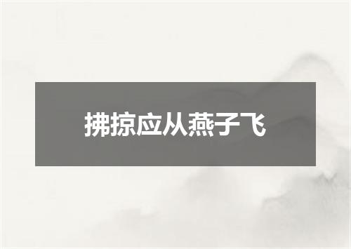 拂掠应从燕子飞