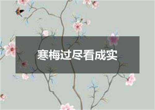 寒梅过尽看成实