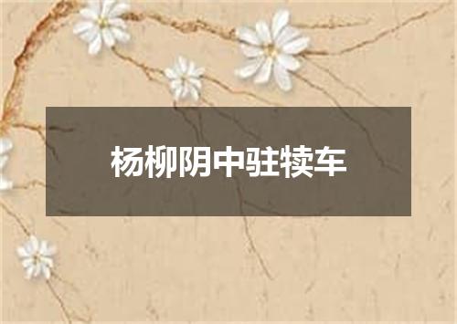 杨柳阴中驻犊车