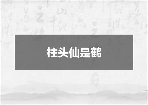 柱头仙是鹤