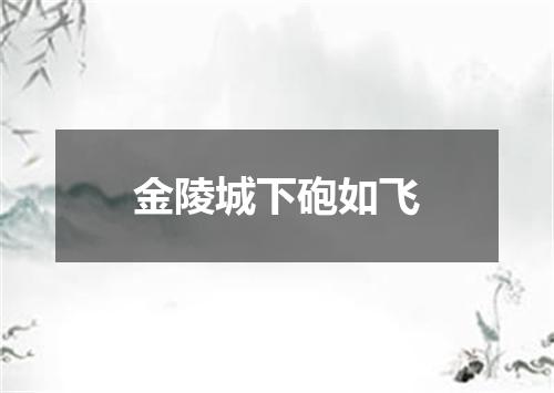 金陵城下砲如飞