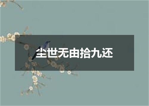尘世无由拾九还