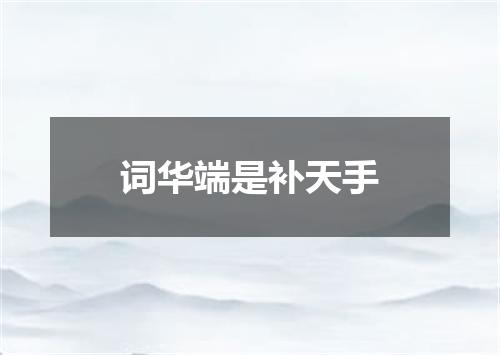 词华端是补天手