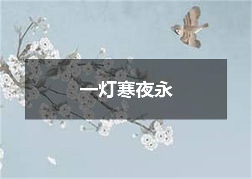 一灯寒夜永