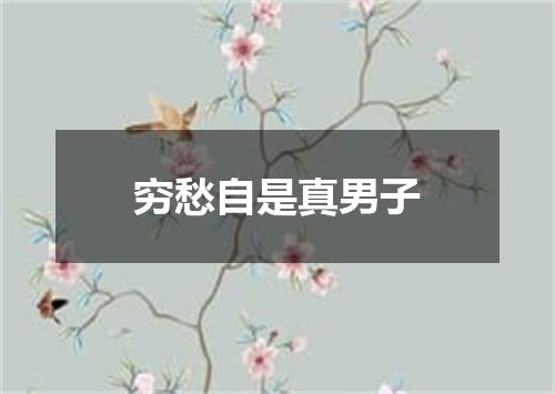 穷愁自是真男子