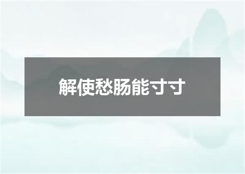 解使愁肠能寸寸