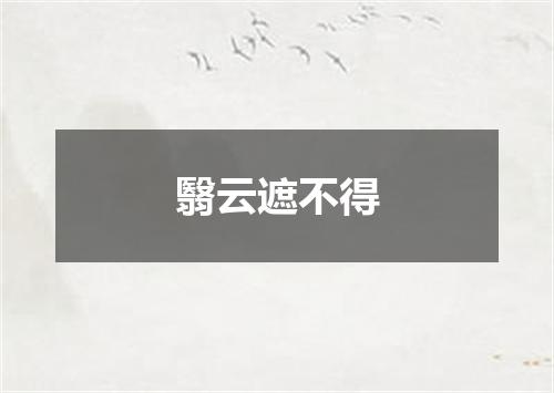翳云遮不得