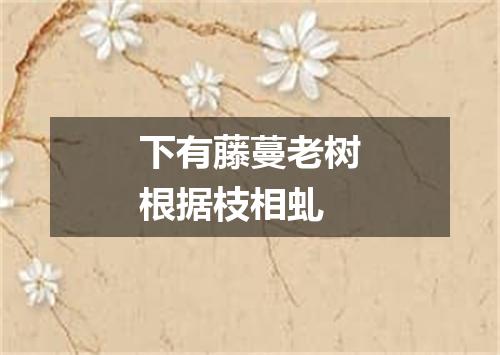 下有藤蔓老树根据枝相虬