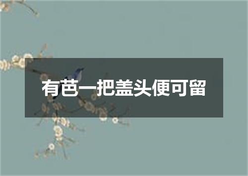 有芭一把盖头便可留