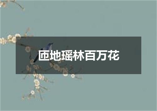 匝地瑶林百万花