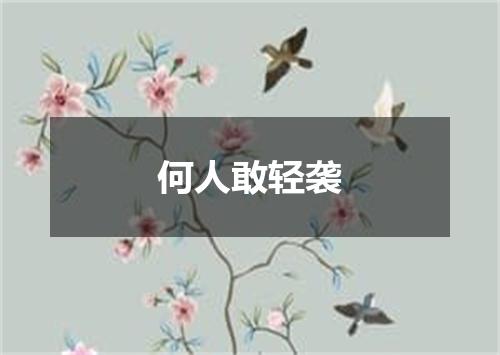 何人敢轻袭