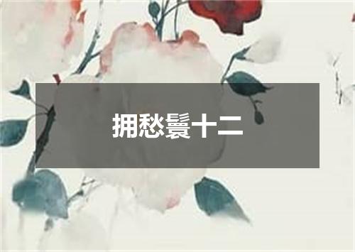拥愁鬟十二