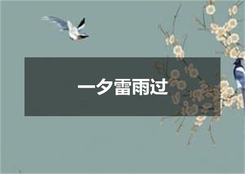 一夕雷雨过