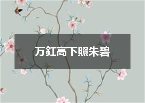 万釭高下照朱碧