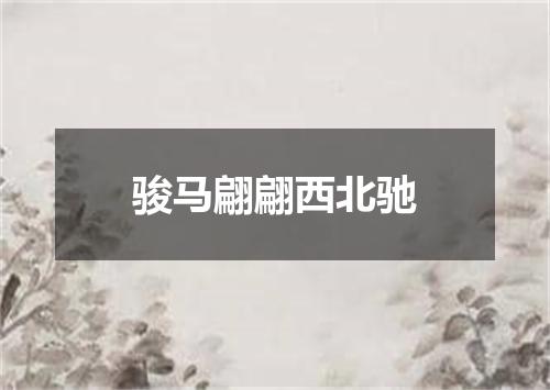 骏马翩翩西北驰