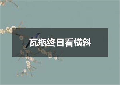 瓦瓶终日看横斜